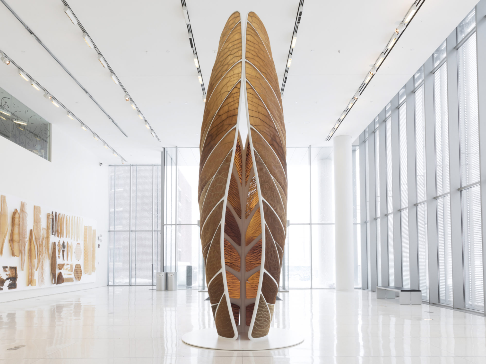 design-nerioxman-aguahoja-pavilion.png|400