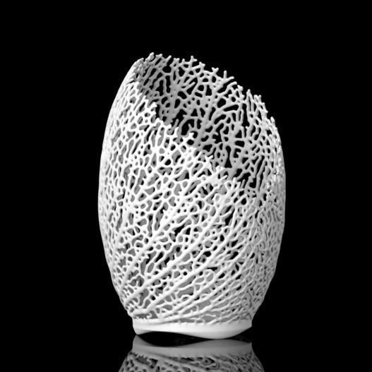 nervous-system-hyphaelamp.png|300